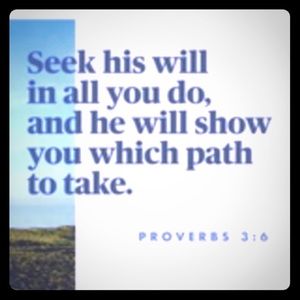 Seek His will in all you do